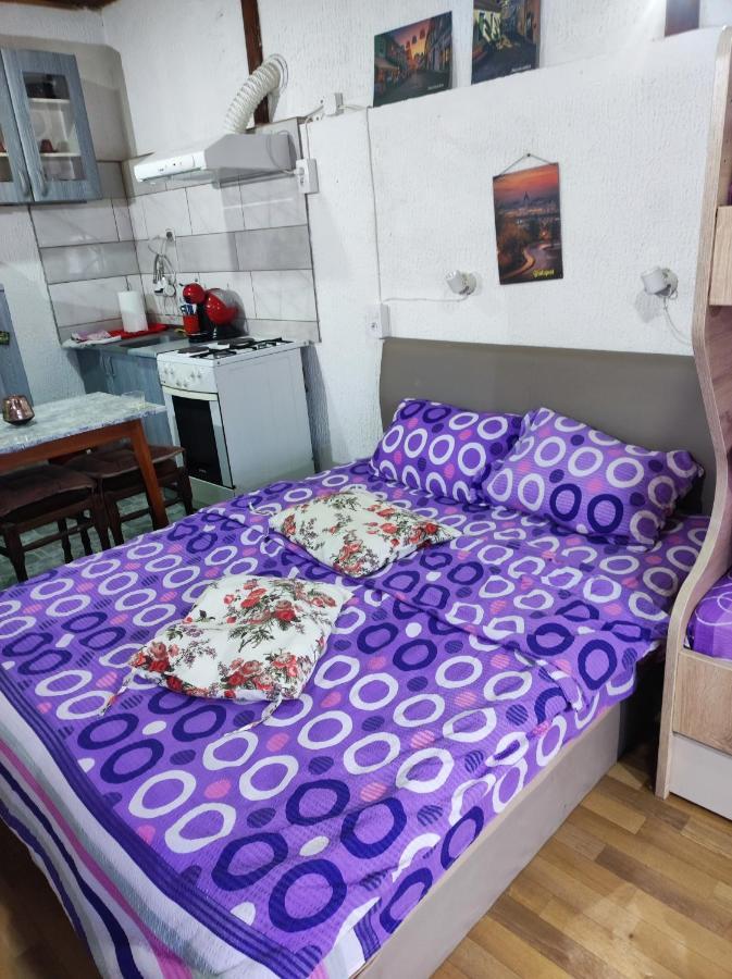 Prenociste Indija Hrvic Apartment Ngoại thất bức ảnh